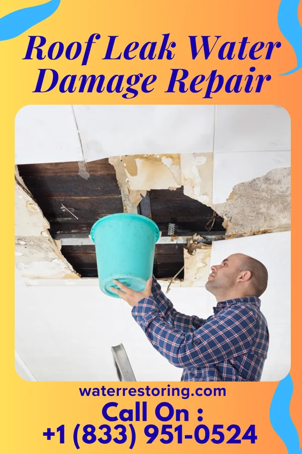Roof Leak Water Damage Repair in Lake Hart, FL