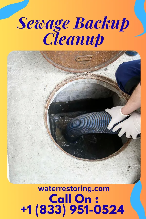 Sewage Backup Cleanup in Lake Hart, FL